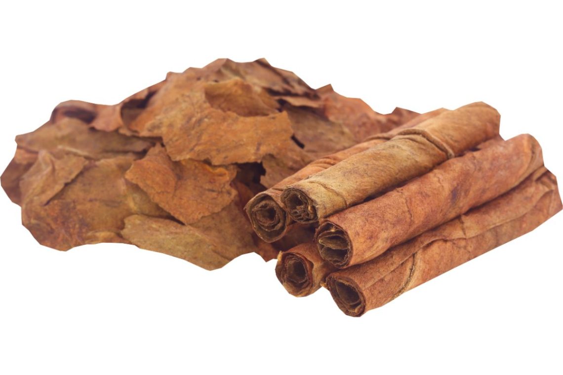 feuilles-de-tabac-sechees