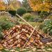 Jardin d’automne où des feuilles mortes sont rassemblées au râteau près de massifs de plantes vivaces, sous une lumière douce.