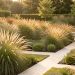 Jardin contemporain français planté de grandes touffes de molinie et de calamagrostis baignées par la lumière dorée de la fin de l’été.