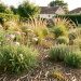 Jardin résidentiel à Colomiers en été, avec un massif sec paillé composé d’achillées, d’origan et de graminées locales baignés de lumière chaude.